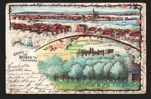 138094 AK Werder Havel 1904  Litho Baumblüte Etablissement Wachtelburg