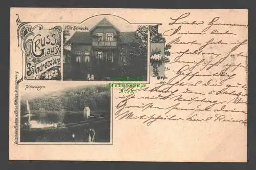 138422 AK Sankt Sanct St. Andreasberg 1904 Villa Reinecke und Teichanlagen
