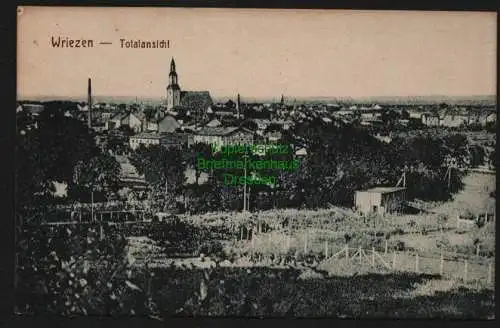 139843 AK Wriezen Totalansicht um 1920