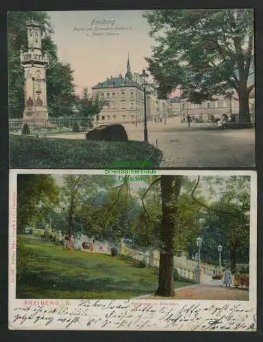 139651 2 AK Freiberg Freitreppe Albertpark Schweden Denkmal Peters Straße 1910