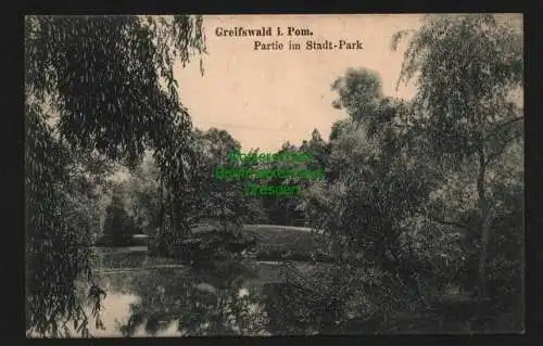 139827 AK Greifswald i. Pom. Partie im Stadtpark 1918