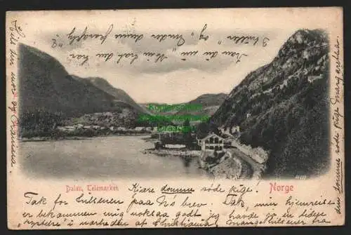 140179 AK Norge Norwegen Dalen Telemarken 1903