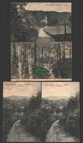 141373 4 AK Kurort Sülzhayn a. Südharz Ellrich Kirche Kirchweg 1913 Forellenlust