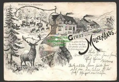 141372 AK Molkenhaus Bad Harzburg um 1900 Muxklippe Wildfütterung Hirsch Rehe