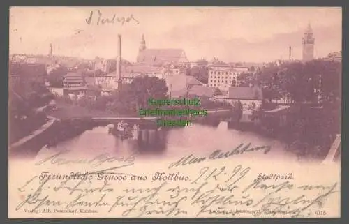 141855 AK Cottbus Kottbus 1899 Stadtpark