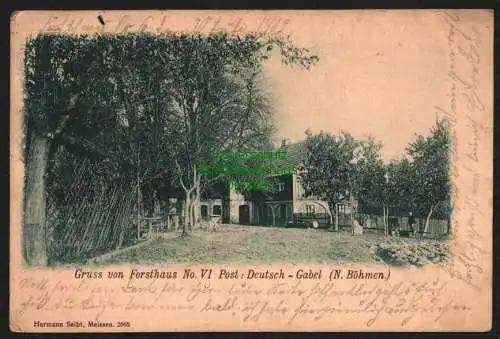 142374 AK Forsthaus No.VI Deutsch Gabel N. Böhmen 1902