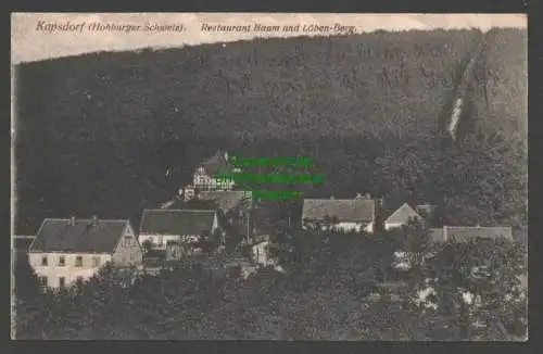 142347 AK Kapsdorf Lossatal Hohburger Schweiz Restaurant Baum Löben Berg 1920