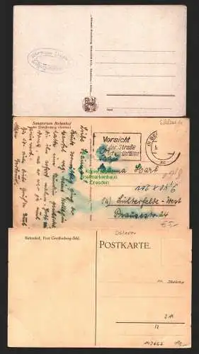 143667 3 AK Greiffenberg Schl. Birkenhof Sanatorium um 1920 1930