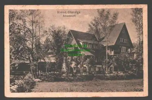 146040 AK Obernigk Kr. Trebnitz Oborniki Slaskie Schweizerei 1925