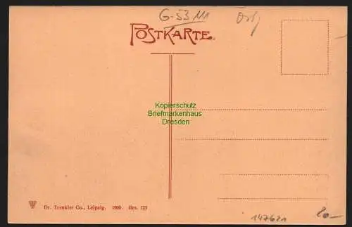 147621 AK Breslau 1906 Markt am Ring Reklame Buchali Samenhandlung Vogelfutter