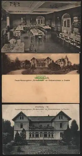 149368 3 AK  Zitzschewig Alt Wettinhöhe um 1920