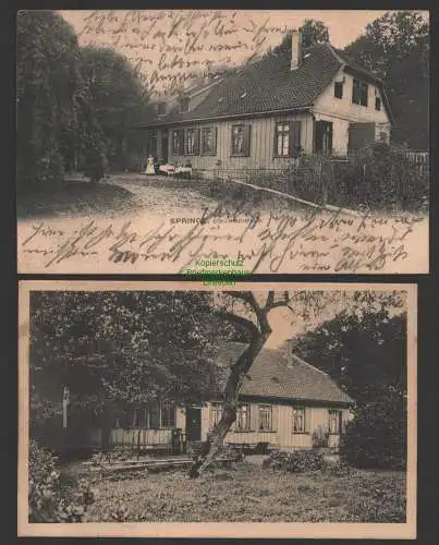 149273 2 AK Springe 1906 Cöllnischfeld Köllnischfeld Cöllnisch-Feld