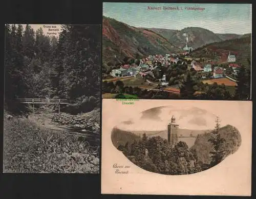 150250 3 AK Kurort Berneck  i. Fichtelgebirge um 1900 Aussichtsturm Jägersteg