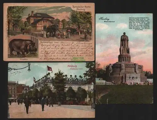 150446 3 AK Litho Zoo Hamburg Flusspferd Elefant Anton 1900 Alsterpavillon 1908