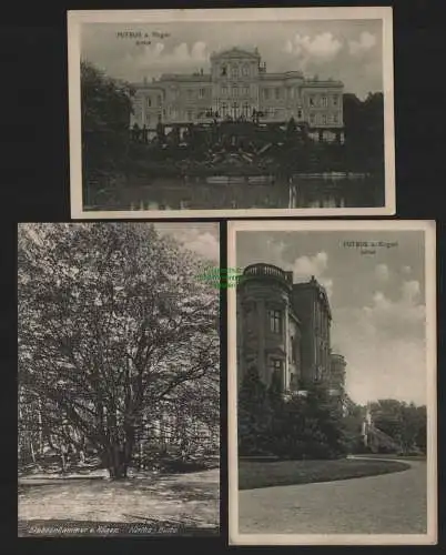 151028 3 AK Putbus Rügen 1910 1911 Schloß Stubbenkammer Hertha Buche