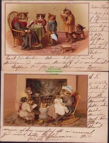 152988 2 AK Plauen V. 1899 Künstlerkarte Katzen Familie Vermenschlicht