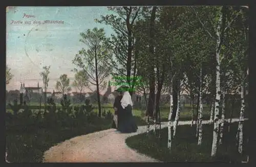 154253 AK Pegau Alberthain 1909 Bahnpost Leipzig - Meiselwitz