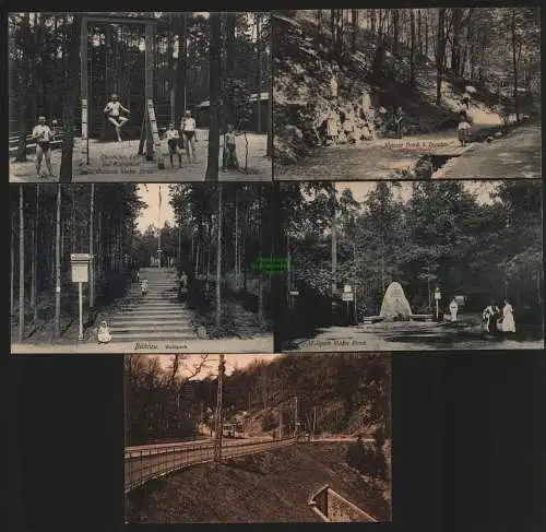 155262 5 AK Dresden um 1910 Weisser Hirsch Waldpark Bühlau Mordgrundbrücke