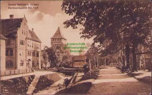 165441 AK Hermannstadt Nagyszeben-Sibilu 1931 Strada Harteneck cu parc  Park