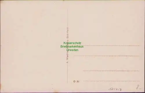 171413 AK Josephshöhe bei Stolberg Süd-Harz um 1910