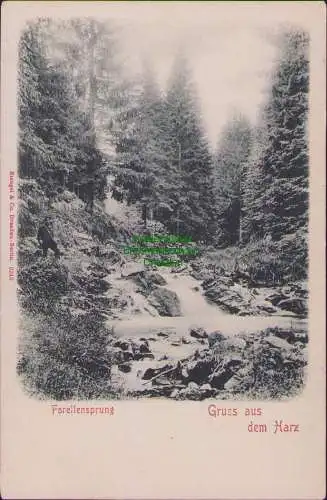 171419 AK Forellensprung Harz um 1900 Verlag Stengel & Co. Dresden Berlin 9240