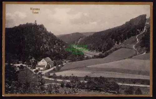 172501 AK  Kynau um 1920 Total