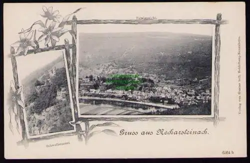 172874 AK Neckarsteinach um 1905 Schwalbennest + Totalansicht
