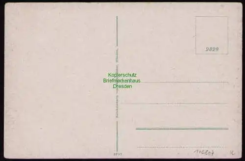 172807 AK Waldheim Panorama um 1920