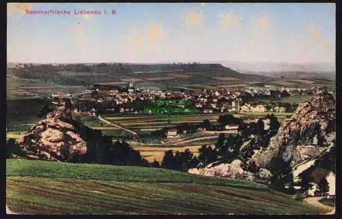 173717 AK Liebenau in Böhmen 1912