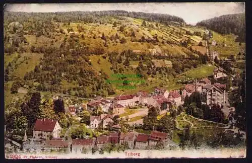 173786 AK Triberg im Schwarzwald um 1920 Panorama