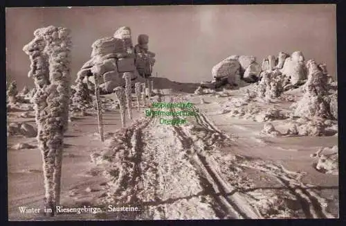 173798 AK Winter im Riesengebirge Sausteine um 1930