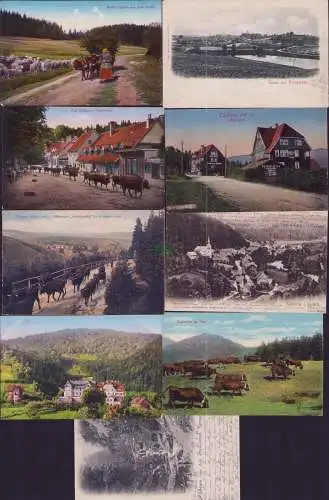 174834 9 AK Bad Harzburg Molkenhaus Torfhaus Oberharz Harzgerode Hotel Wedd
