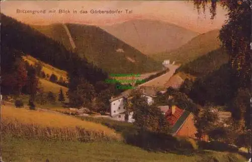 174701 AK Blitzengrund mit Blick in das Görbersdorfer Tal um 1920 Verlag R. Orgs