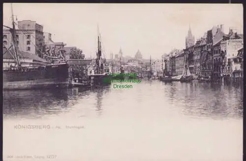 174635 AK Königsberg i. Pr. Hundegatt um 1905