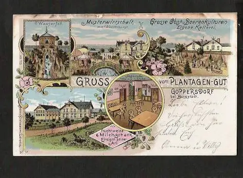 21147 AK Litho Göppersdorf bei Burgstädt Musterwirtschaft Kelterei Fruchtweine