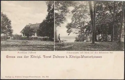 23341 AK Forsthaus Dubrow bei Königs Wusterhausen Prinzenlaube vor 1906
