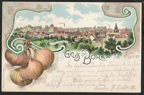 25018 AK Borna Sachsen Litho Totalansicht Zwiebeln 1900 Borna Bz. Leipzig