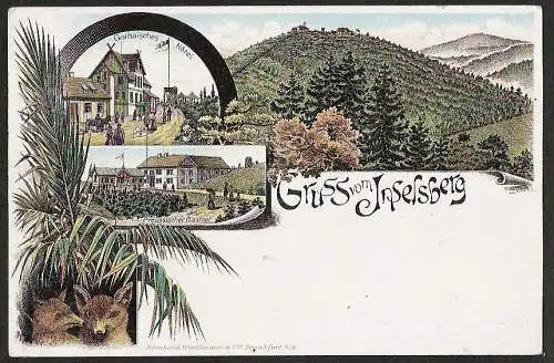 25442 AK Litho Inselsberg Gothaisches Hotel Preussischer Gasthof Fuchs Füchse
