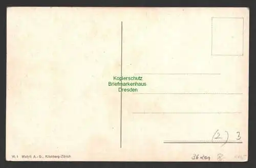 36201 AK Wappen der Schweiz Zürich Bern Basel Appenzel um 1910