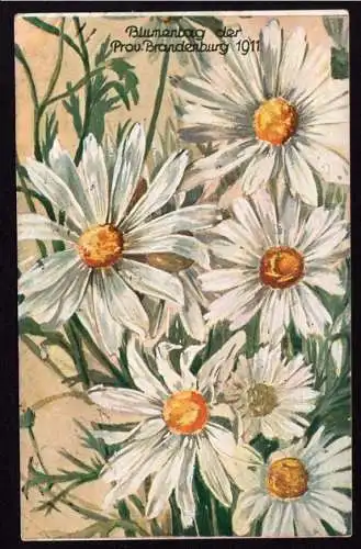 36735 AK Berlin Brandenburg Blumentag 1911