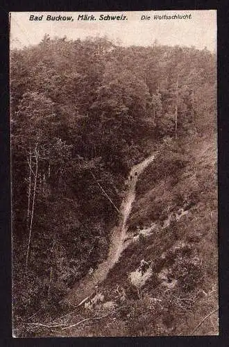 43538 AK Bad Buckow Märk. Schweiz Die Wolfsschlucht
