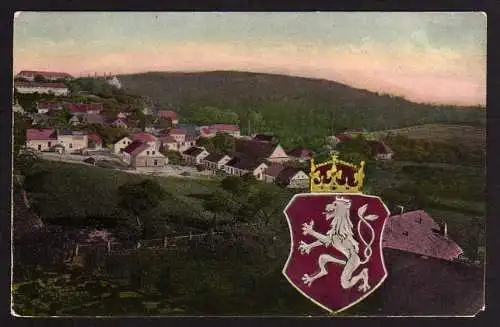 45670 AK Wappen Löwe ca. 1920