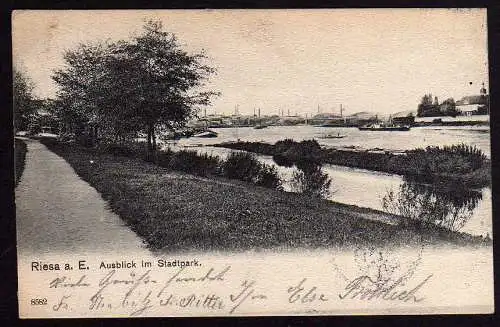 52206 AK Riesa Elbe Im Stadtpark 1904 Elbansicht
