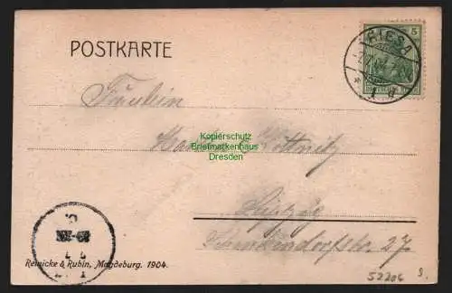 52206 AK Riesa Elbe Im Stadtpark 1904 Elbansicht