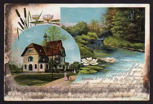 52208 AK Zwenkau Rothenburger Erker Mühlgraben 1904 Seerosen