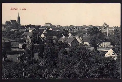 54772 AK Dahlen i. Sachsen, ungelaufen Panorama um 1910