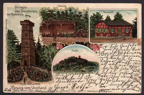 55291 AK Litho Vogtland Anlagen des Steinberges b. Rodewisch Gasthaus Wirtschaft
