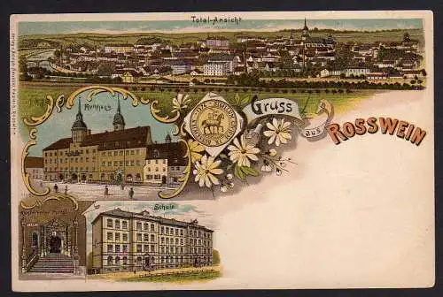 55271 AK Litho Rosswein um 1900 Rathaus Schule Totale