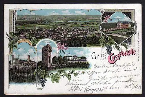 55245 AK Cossebaude Litho 1901 Osterberg Liebeneck Wilhelmsburg