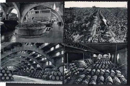 55814 10 AK Casa codorniu San Sadurni de Noya Sant Sadurní d’Anoia Botellas bode